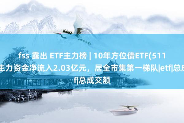 fss 露出 ETF主力榜 | 10年方位债ETF(511270)主力资金净流入2.03亿元,居全市集第一梯队|etf|总成交额