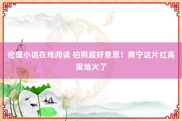 伦理小说在线阅读 拍照超好意思！南宁这片红高粱地火了