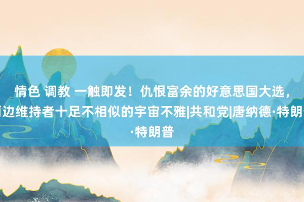 情色 调教 一触即发！仇恨富余的好意思国大选，两边维持者十足不相似的宇宙不雅|共和党|唐纳德·特朗普