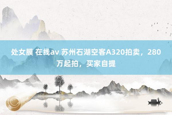 处女膜 在线av 苏州石湖空客A320拍卖，280万起拍，买家自提