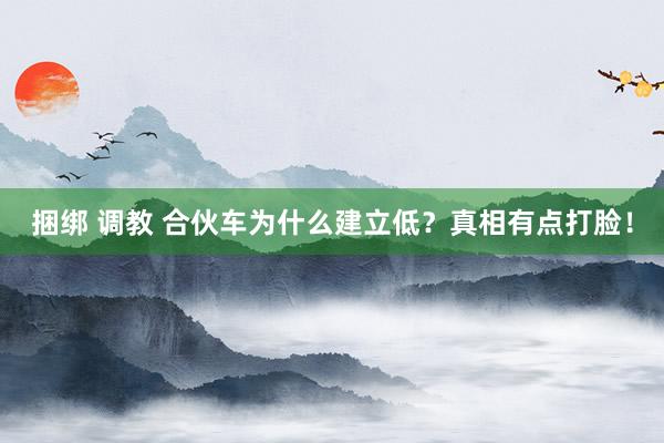 捆绑 调教 合伙车为什么建立低？真相有点打脸！