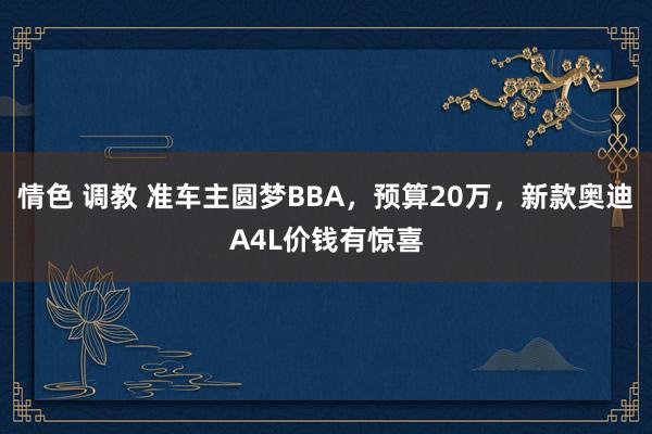 情色 调教 准车主圆梦BBA，预算20万，新款奥迪A4L价钱有惊喜