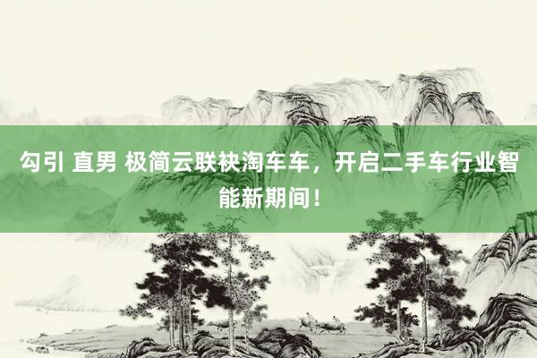勾引 直男 极简云联袂淘车车，开启二手车行业智能新期间！