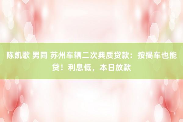 陈凯歌 男同 苏州车辆二次典质贷款：按揭车也能贷！利息低，本日放款