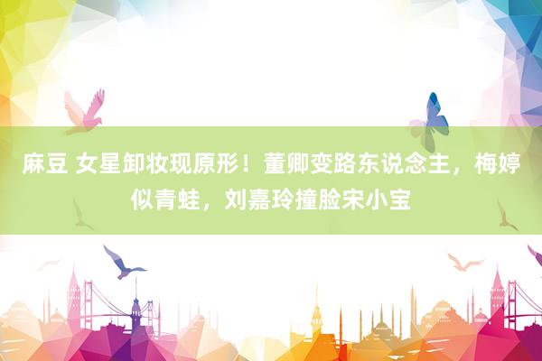 麻豆 女星卸妆现原形！董卿变路东说念主，梅婷似青蛙，刘嘉玲撞脸宋小宝