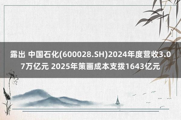 露出 中国石化(600028.SH)2024年度营收3.07万亿元 2025年策画成本支拨1643亿元