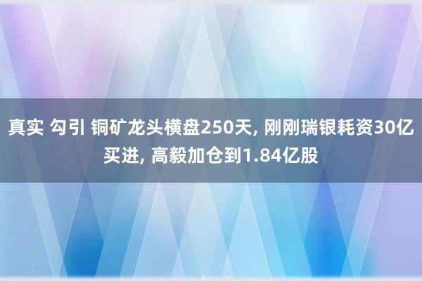 真实 勾引 铜矿龙头横盘250天, 刚刚瑞银耗资30亿买进, 高毅加仓到1.84亿股