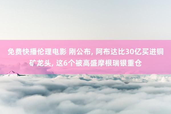 免费快播伦理电影 刚公布, 阿布达比30亿买进铜矿龙头, 这6个被高盛摩根瑞银重仓