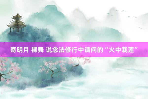寄明月 裸舞 说念法修行中请问的“火中栽莲”