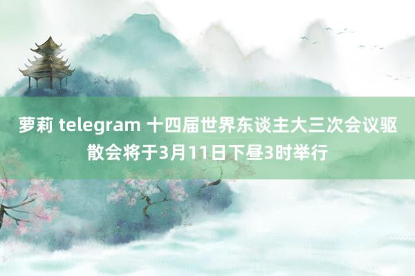 萝莉 telegram 十四届世界东谈主大三次会议驱散会将于3月11日下昼3时举行